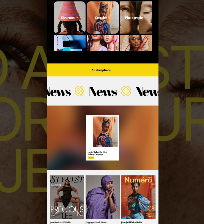 Fashion Website